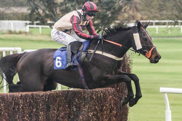 Selkirk jockey Sam Coltherd on Budarri in the scond race of the day at Kelso (Photo: Bill McBurnie)