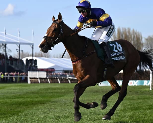 Jockey Derek Fox on Corach Rambler at the Grand National at Liverpool's Aintree Racecourse in April (Pic: Oli Scarff/AFP via Getty Images)