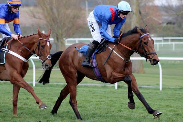 Ontherouge came second in Saturday's 4.21pm Go North Jodami Open National Hunt Flat Race at Kelso, ridden by Jedburgh's Callum Bewley for North Yorkshire trainer Peter Niven (Photo: Bill McBurnie)
