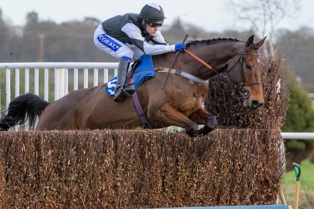 Tom Scudamore guiding Just Don't Know to victory in Sunday's Chairman's Cup Handicap Chase at Kelso for Denholm handler Paul Robson (Pic: Kelso Races)