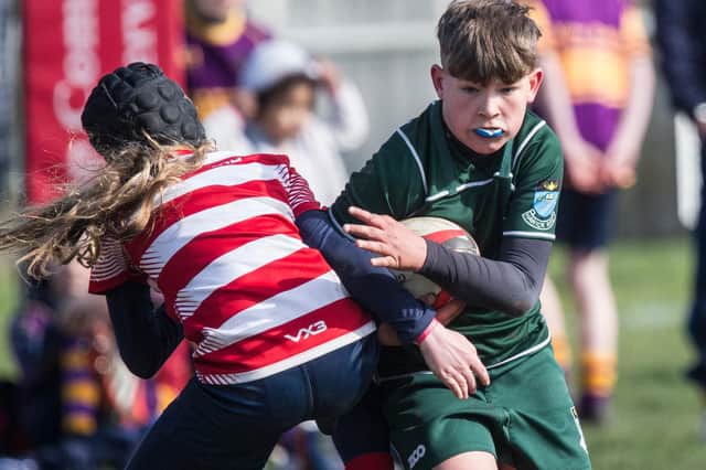 Kai Telfer on the ball for Hawick at Kelso Cougars' mini-rugby festival on Sunday