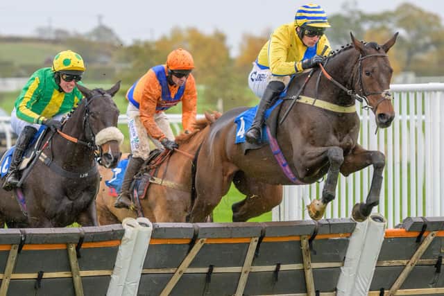 Ryan Mania riding Stoney Rover, right, at Kelso at the weekend (Pic: Kelso Races)