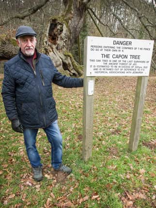 Councillor Jim Brown at Jedburgh's Capon Tree. (Photo: BILL McBURNIE)