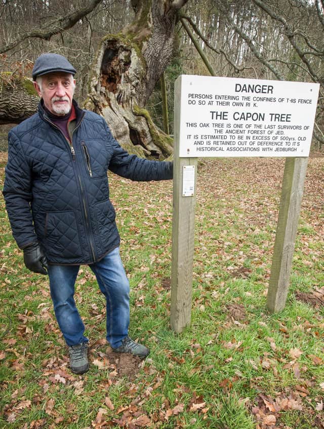 Councillor Jim Brown at Jedburgh's Capon Tree. (Photo: BILL McBURNIE)