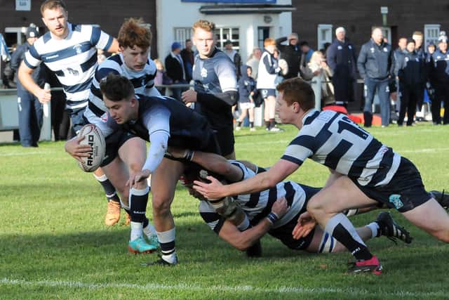 Ben Pickles scoring a try during Selkirk's 26-13 loss at home to Heriot's Blues on Saturday (Photo: Grant Kinghorn)