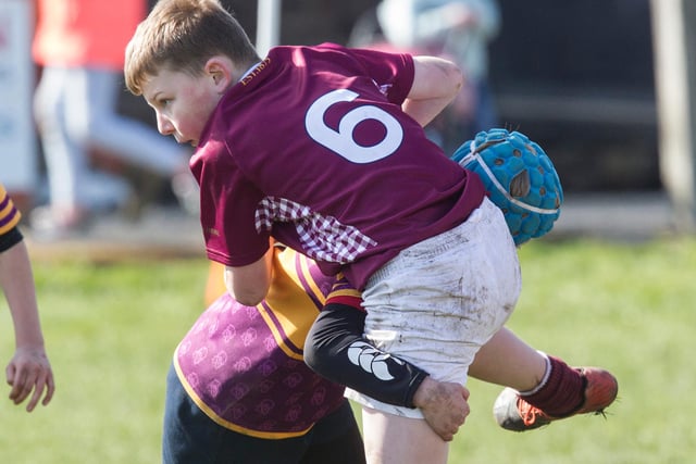 A Gala player being tackled by a Marr opponent at Kelso's mini-rugby festival on Sunday