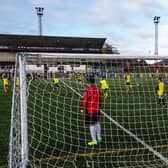 The main 3G pitch at Netherdale in use (Photo: Live Borders)