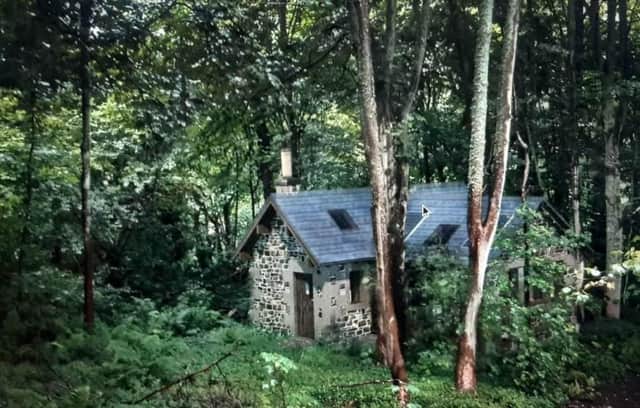 The woodland hut in question.