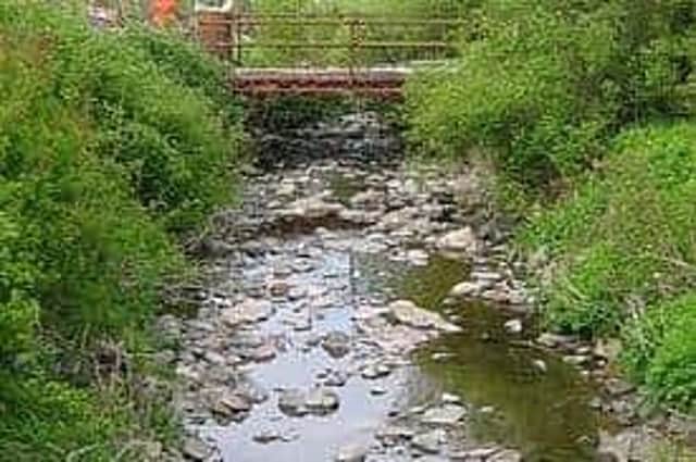 The River Rule at Bonchester Bridge.