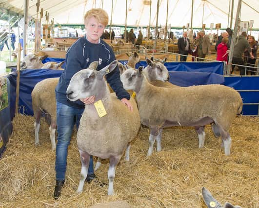 Andrew McClyman's ram went for £4,000 at Kelso auction in 2018. (Photo: BILL McBURNIE)