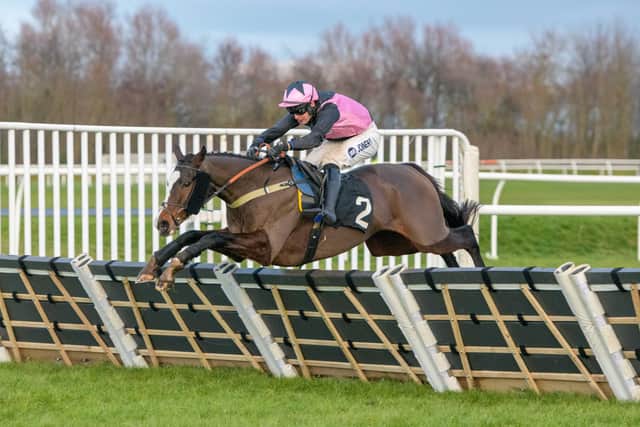Jockey Ryan Mania riding Benson to victory for his father-in-law Sandy Thomson at Musselburgh's New Year's Day 2023 race meeting (Pic: Alan Raeburn)