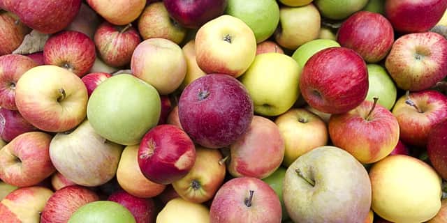 Learn about the many and varied types of apple grown locally at Melrose next weekend.