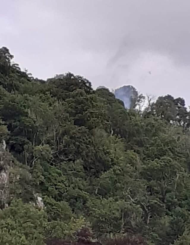 Firefighters tackled the blaze at Minto Crags.