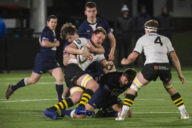 Melrose's Angus Runciman being brought down by Selkirk players (Photo: Bill McBurnie)