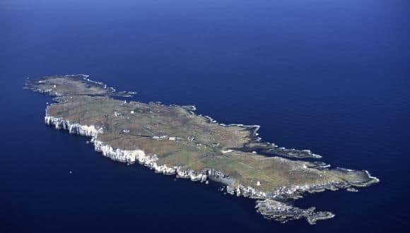 The Isle of May is an internationally important wildlife haven