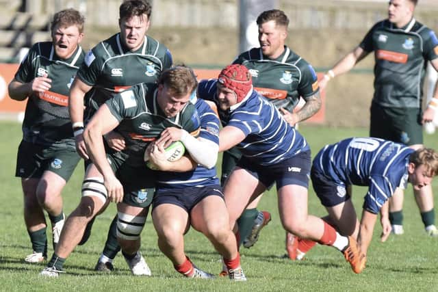 Jae Linton on the attack during Hawick's 27-25 win at home to Musselburgh in rugby's Scottish Premiership on Saturday (Photo: Malcolm Grant)