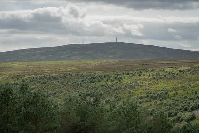 Langholm Moor, now owned by the community. Photo: David Lintern.
