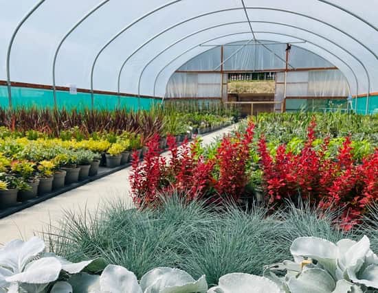 There’s a lot to see at Milestone Garden Centre where quality plants and care for the planet take centre stage. Submitted picture