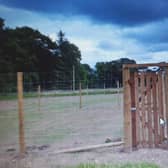 The West Linton dog care facility was built without permission.