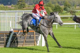 The Navigator, a seven-year-old grey gelding trained by Dianne Sayer at Hackthorpe, near Penrith, and ridden by Danny McMenamin, won Wednesday’s 4.15pm £25,000 Weatherbys Handicap Hurdle over two miles and five furlongs by two lengths at Kelso, claiming its £13,615 top prize (Photo: Kelso Races)
