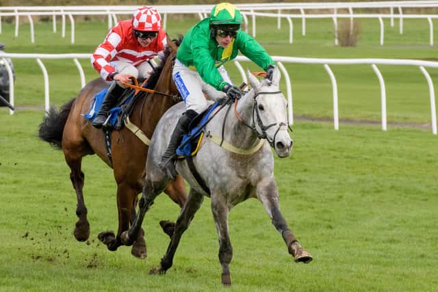Kelso racehorse trainer Sandy Thomson and jockey Ryan Mania’s Flower of Scotland, front, took third place in Saturday's 2.25pm Schloss Roxburghe Hotel Handicap Hurdle at Kelso at 5/1 (Pic: Alan Raeburn/Kelso Races)