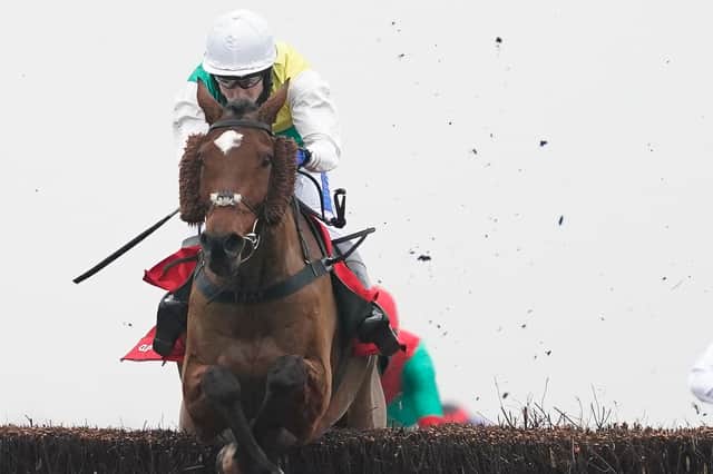 Cloth Cap, one of the runners at Kelso this Saturday, pictured winning the Ladbrokes Trophy Chase at Newbury Racecourse in Berkshire on November 28, 2020 (Photo by Alan Crowhurst/Getty Images)