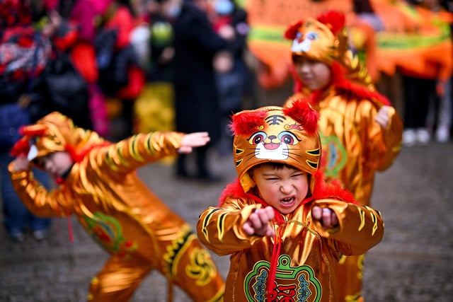 Youngsters strike a pose in front of the crowds dressed in adorable tiger costumes.