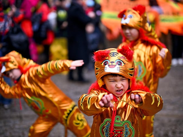 Youngsters strike a pose in front of the crowds dressed in adorable tiger costumes.