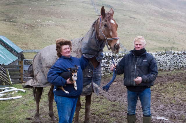'A true gentleman of a horse' - Yetholm trainer Sandy Forster's memory of Claude And Goldie, who sadly died after Sunday's Scottish Grand National at Ayr. With them, right, is  Clive Storey.
