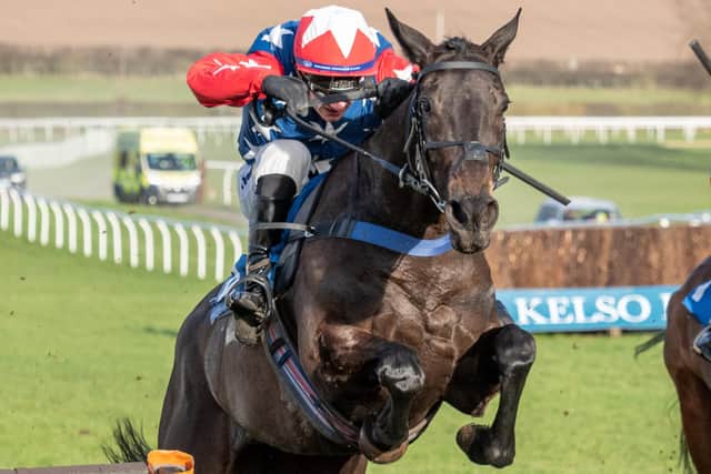 Bella Bluesky in action at a prior Kelso meeting (Photo: Kelso Races)