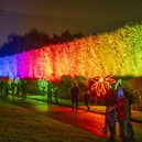 Christmas at the Botanic 2023

Rainbow Hedge is a towering  showstopper at Christmas at the Botanics 2023. Photo by Phil Wilkinson/Christmas at the Botanics