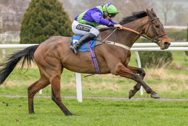 Lewis Stones riding Duty Calls for Yetholm's Sandy Forster at Kelso on Saturday (Pic: Alan Raeburn/Kelso Races)