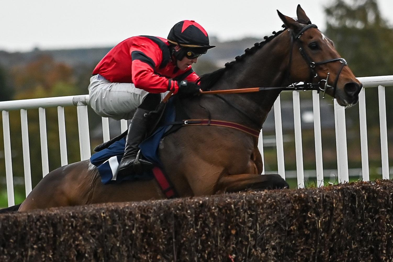 Patrick Wadge on Myretown at Kelso Racecourse on Saturday (Photo: Vanessa Richardson)