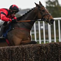 Borders racehorse trainers Stuart Coltherd and Ewan Whillans among winners on home turf at Kelso