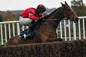 Patrick Wadge on Myretown at Kelso Racecourse on Saturday (Photo: Vanessa Richardson)