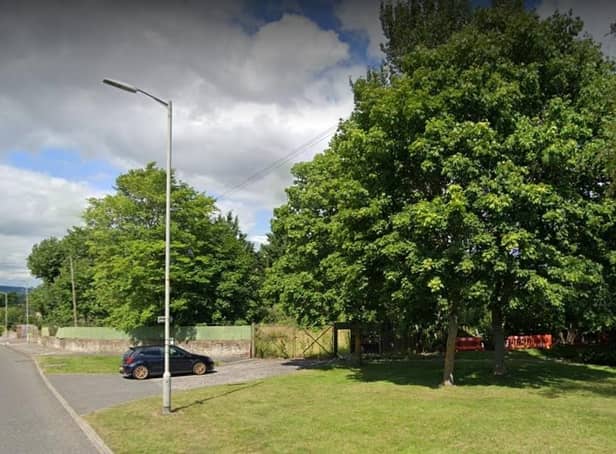 Woodland at Pinnaclehill could become a "huge headache" it's been claimed.