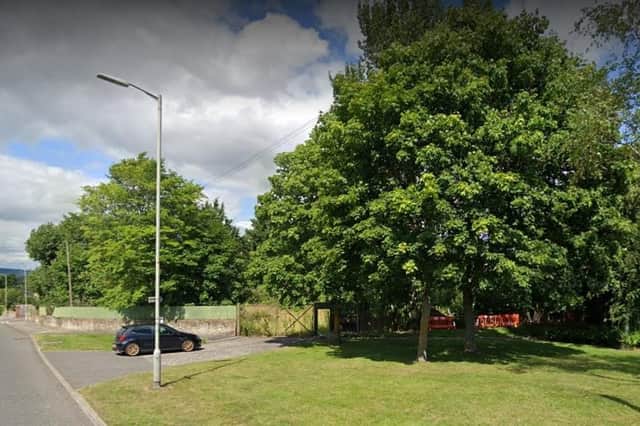 Woodland at Pinnaclehill could become a "huge headache" it's been claimed.