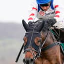 Harry Skelton riding Protektorat at the SSS Super Alloys Supports Racing Welfare Novices' Chase at Cheltenham Racecourse on November 13, 2020. (Photo by Alan Crowhurst/Getty Images)