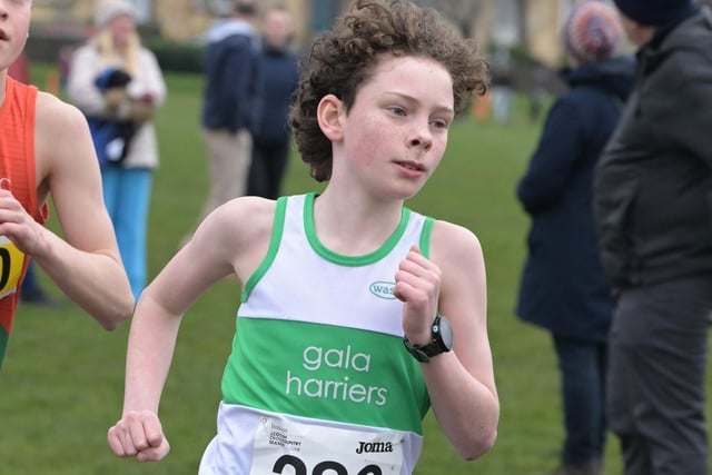 Gala Harriers' Charlie Dalgliesh was 33rd under-15 boy in 14:32 at Scottish Athletics' young athletes' road races at Greenock on Sunday