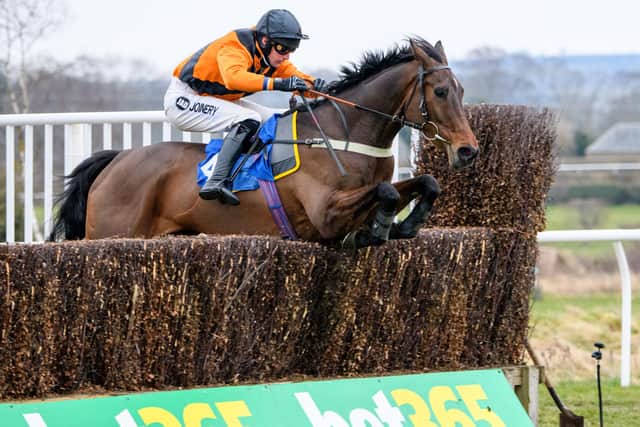 Ryan Mania riding Cedar Hill to his third win in four races at Kelso (Photo: Kelso Races)