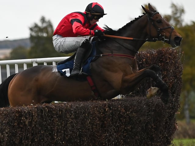 Patrick Wadge on Myretown at Kelso Racecourse on Saturday (Photo: Vanessa Richardson)