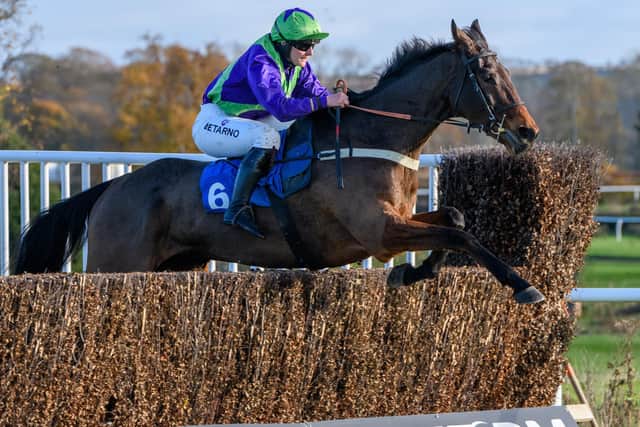 Emma Smith-Chaston riding Duty Calls for Yetholm trainer Sandy Forster at Kelso on Saturday (Pic: Alan Raeburn)