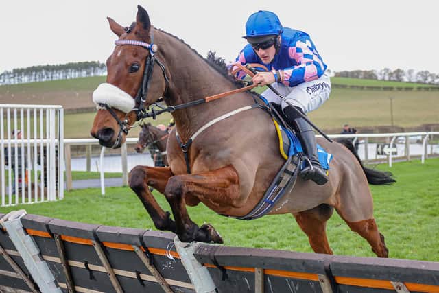 Coral Blue, ridden by Ross Chapman, winning at Kelso yesterday for trainer Daragh Bourke (Photo by Grossick Racing Photography)