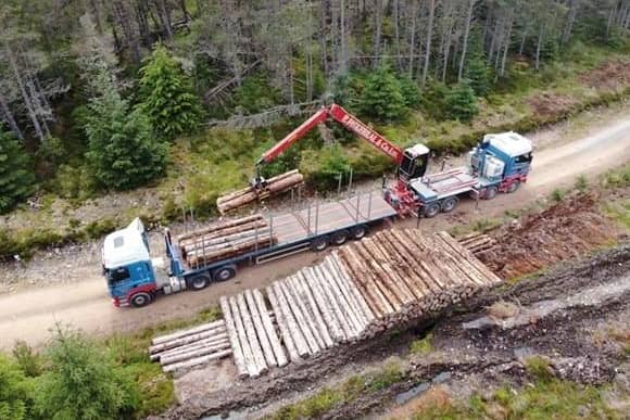 Boost for timber transport infrastructure.