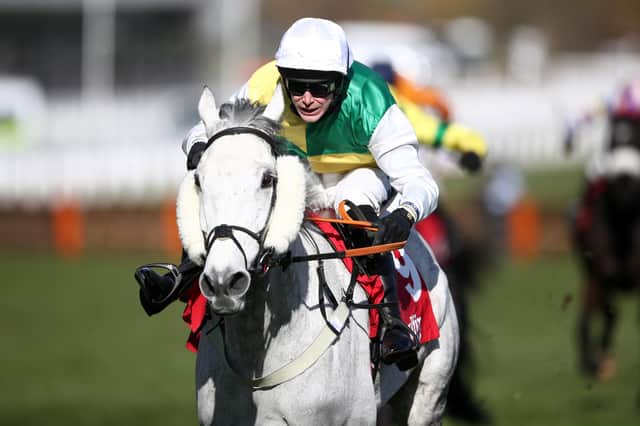 Vintage Clouds being ridden by Borders jockey Ryan Mania at the Cheltenham Festival last week (Photo by Tim Goode/pool/Getty Images)