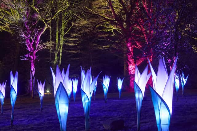 A meadow of illuminated flowers will gently sway and transform through different shades of colour in time to enchanting music.