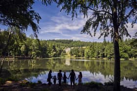Bowhill House and Grounds are open daily until the end of August