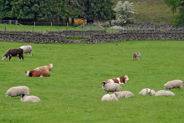 It’s hoped the improvements to the St Boswells centre will help support animal health and livestock production.