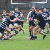 Berwick, seen here losing 31-15 to Glasgow Academicals a week ago on Saturday, have got two games left to save their season (Pic: Mike Hardie)
