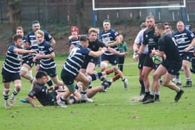 Berwick, seen here losing 31-15 to Glasgow Academicals a week ago on Saturday, have got two games left to save their season (Pic: Mike Hardie)